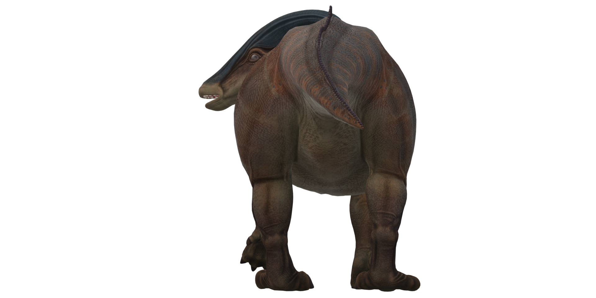 Parasaurolophus on a Transparent Background png