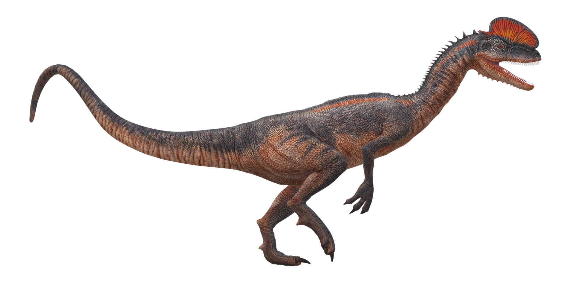 Dilophosaurus on a Transparent Background png