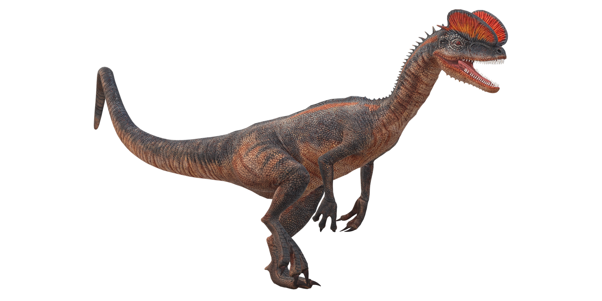 Dilophosaurus on a Transparent Background png