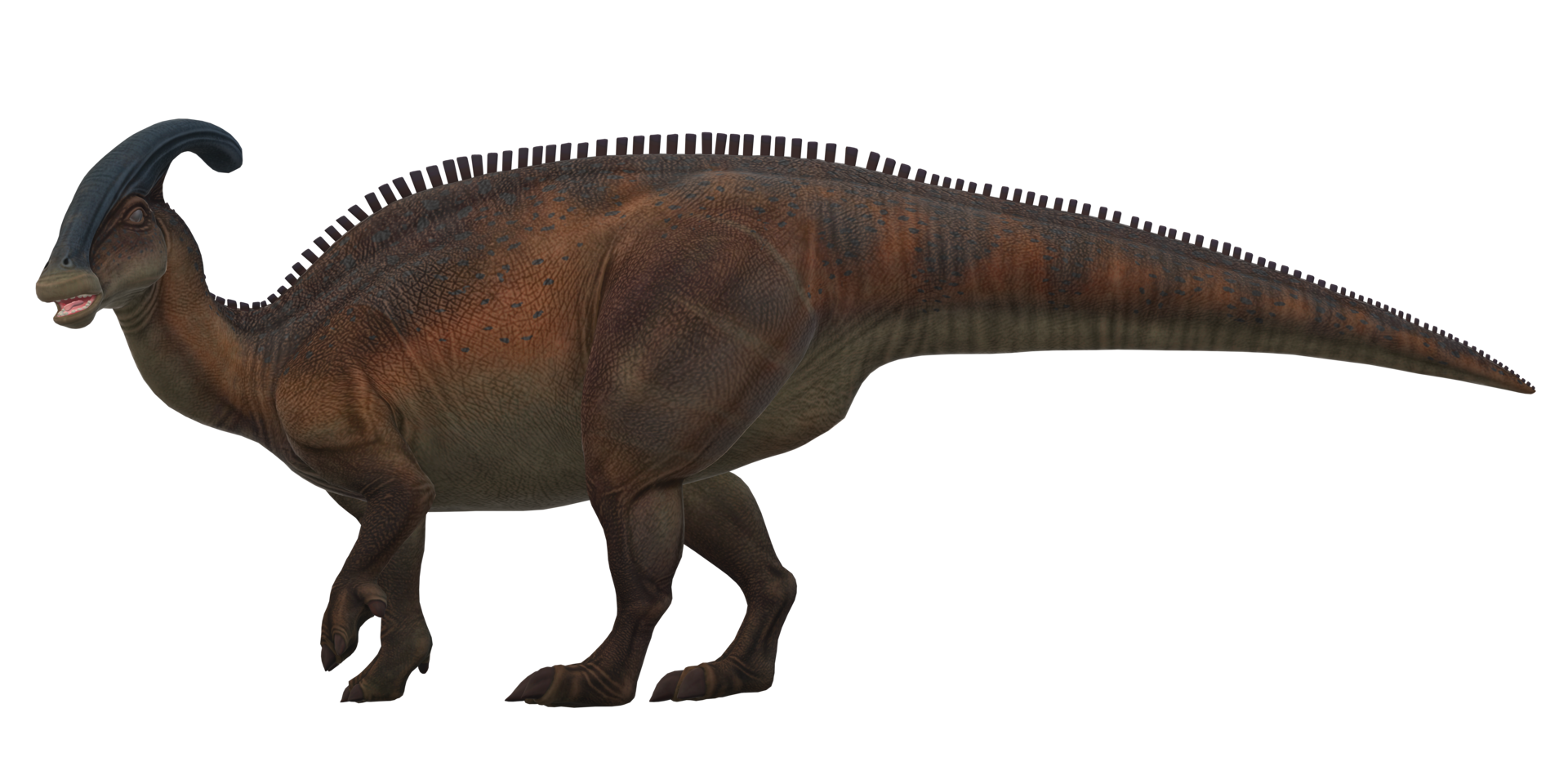 Parasaurolophus on a Transparent Background png