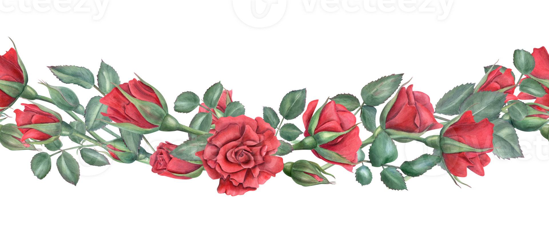 Seamless border with red roses. Scarlet flowers with green leaves. Intertwining rose stems with buds. Blooming summer plants. Watercolor illustration for memorial day decor, birthday design png