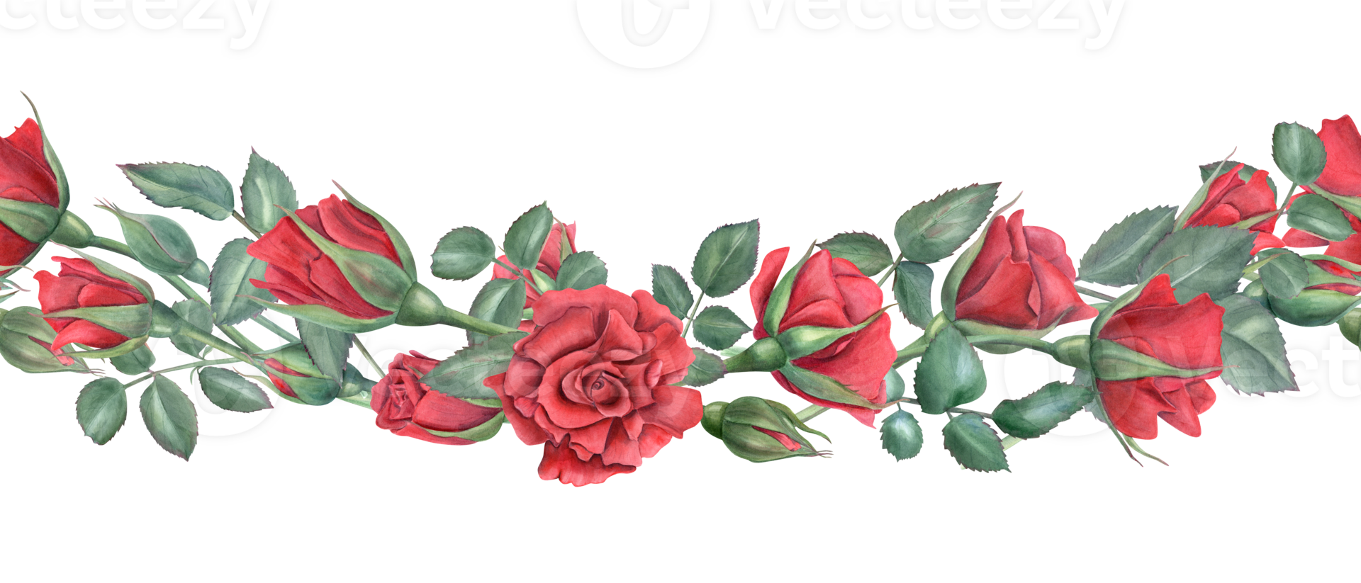 Seamless border with red roses. Scarlet flowers with green leaves. Intertwining rose stems with buds. Blooming summer plants. Watercolor illustration for memorial day decor, birthday design png