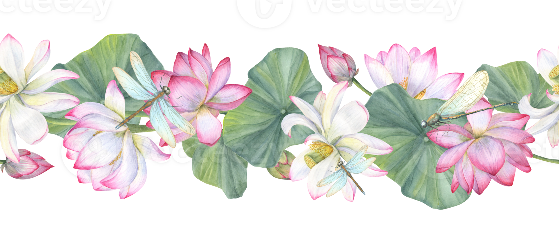 Lotus flower banner. White pink Water Lily, Indian Lotus. Floral seamless pattern. Watercolor illustration of Vietnamese national flowers. For cosmetic design, ayurveda products, textile png