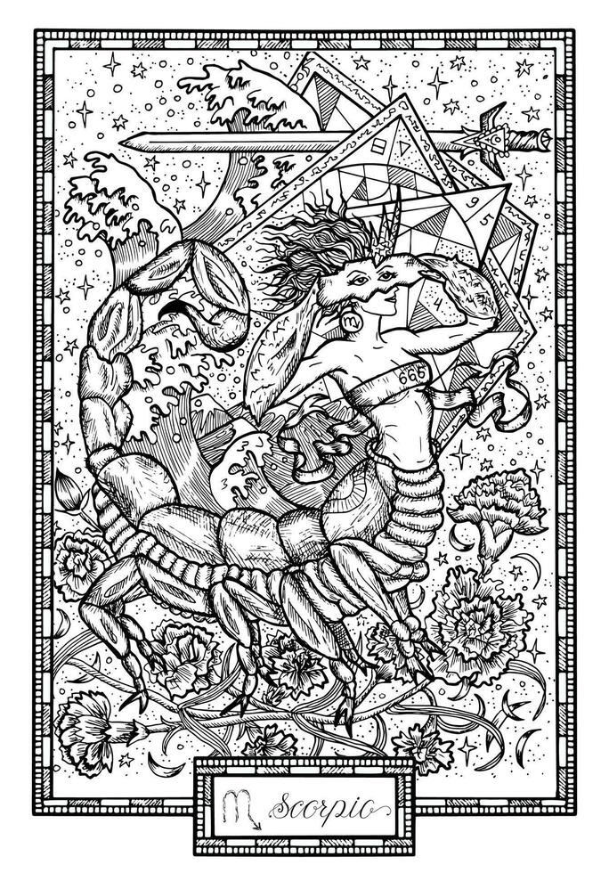 Zodiac sign Scorpion. Hand drawn fantasy graphic illustration in frame vector