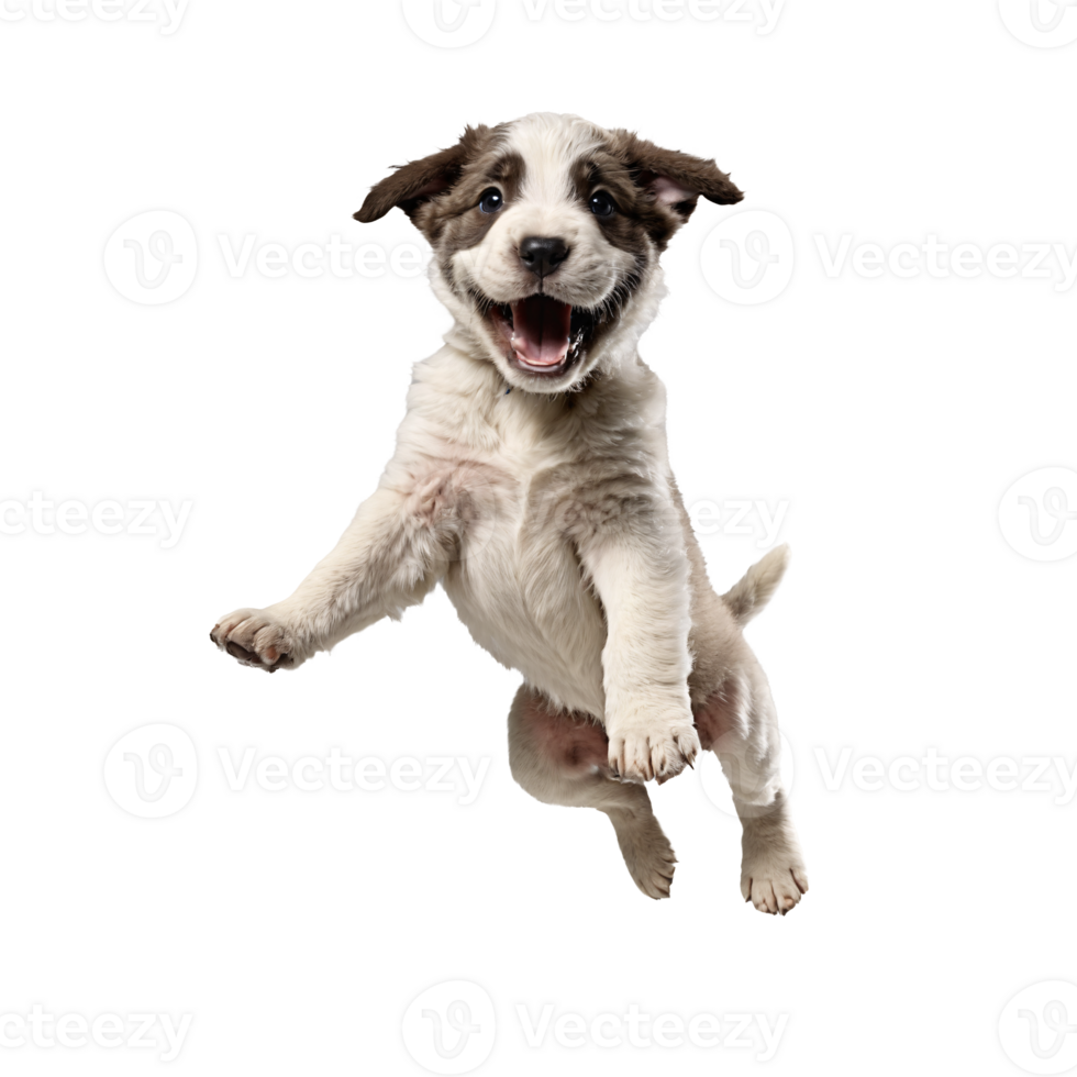 happy stray dog puppy jumping and running isolated transparent png