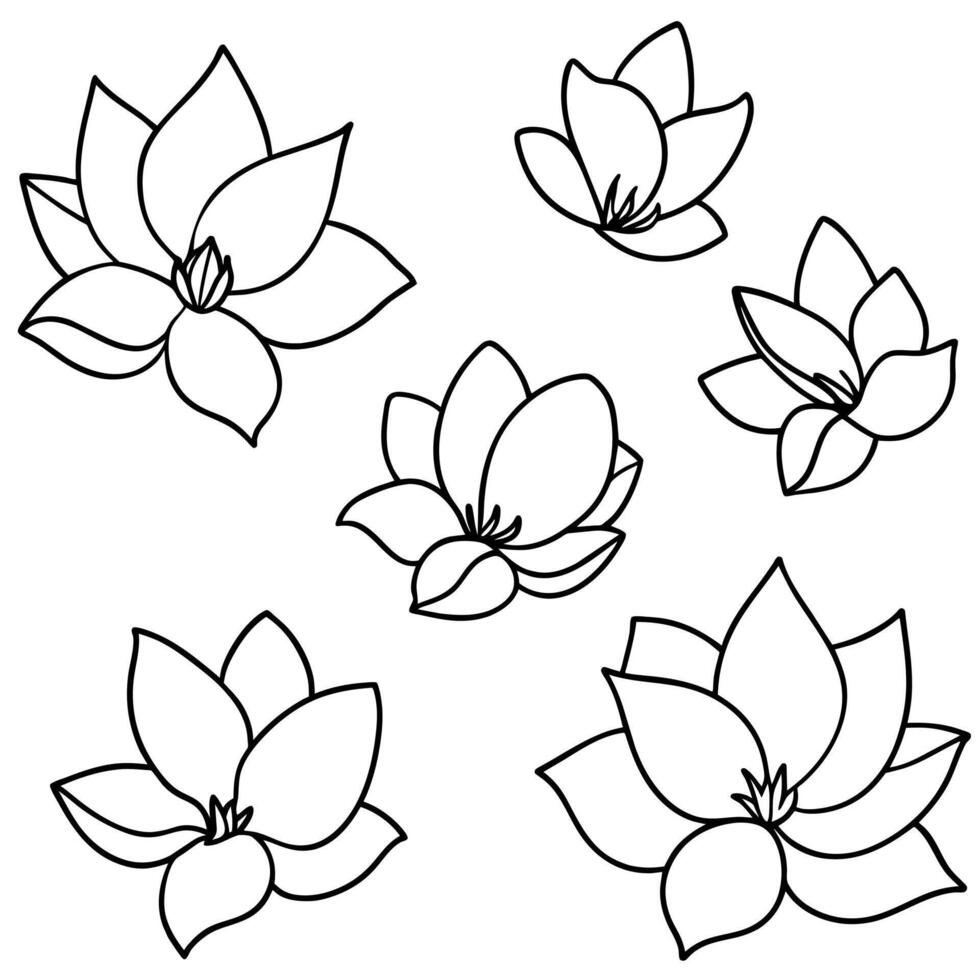 a flower line art illustration vector