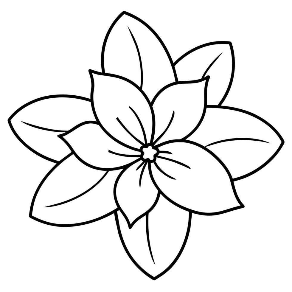 a flower line art illustration vector