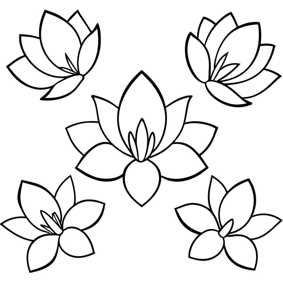 a flower line art illustration vector