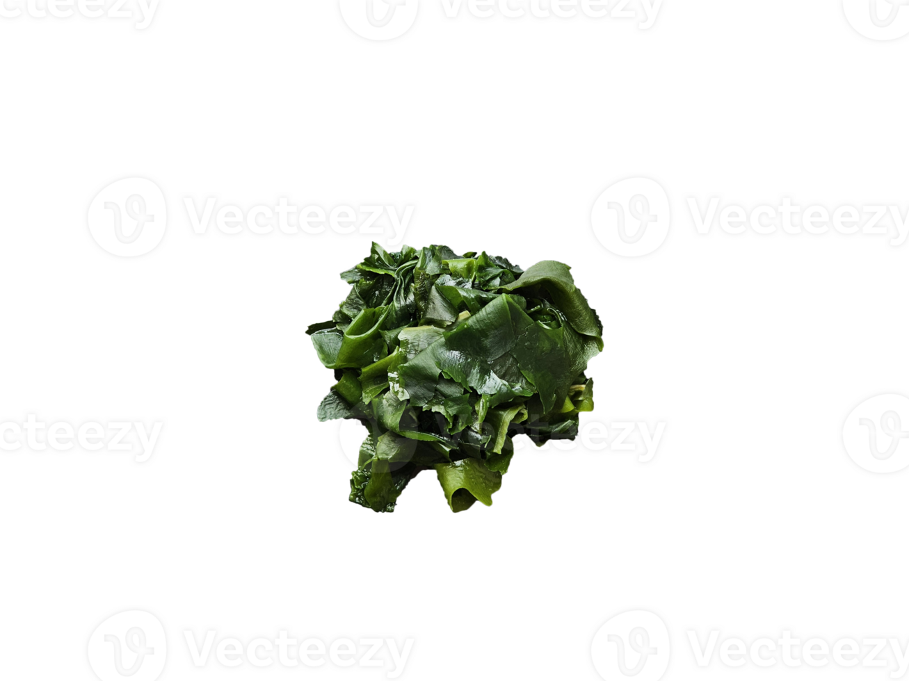 Wakame Seetang auf transparent Hintergrund. oben Aussicht png