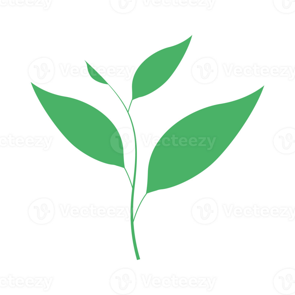 leaf tea flat icon png