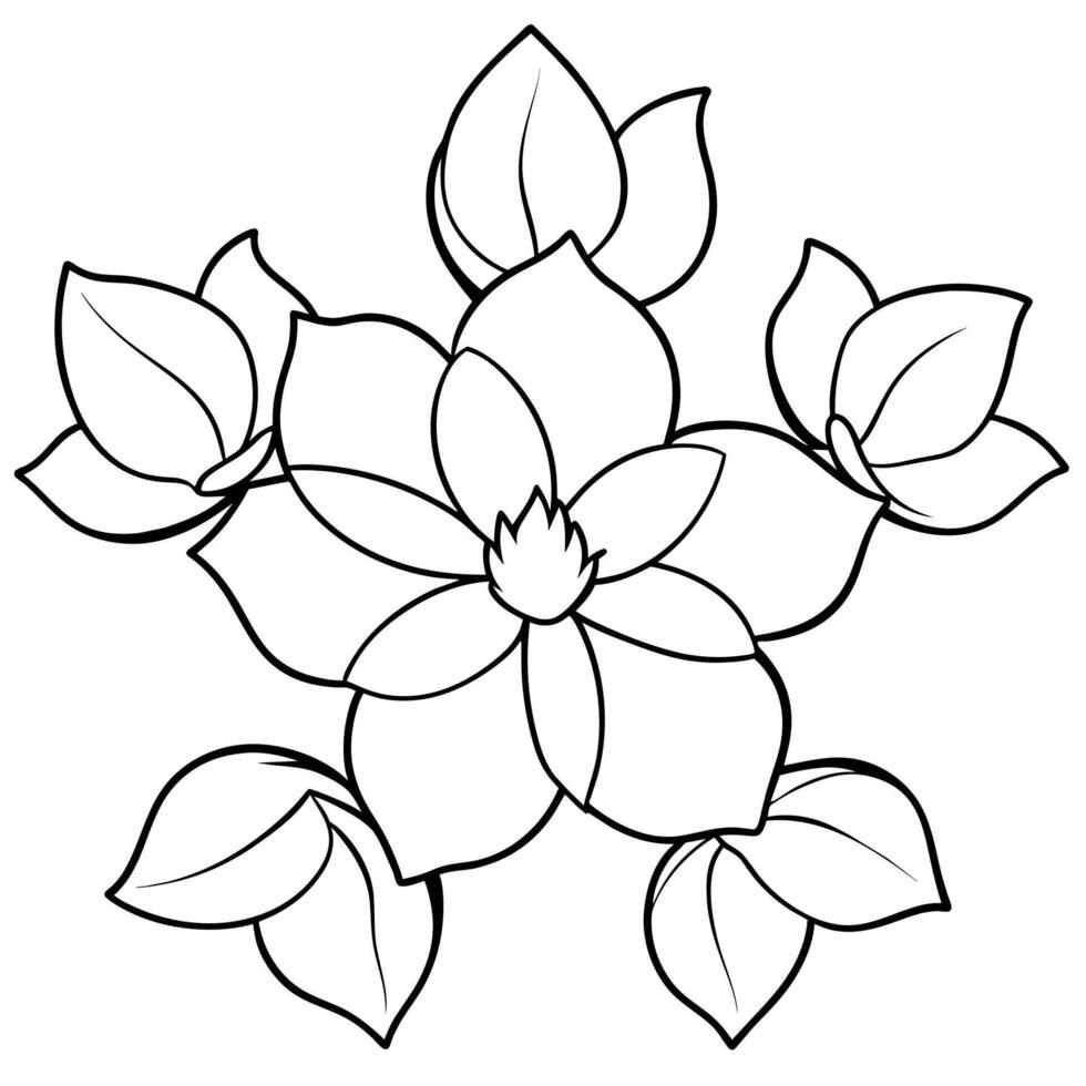 a flower line art illustration vector