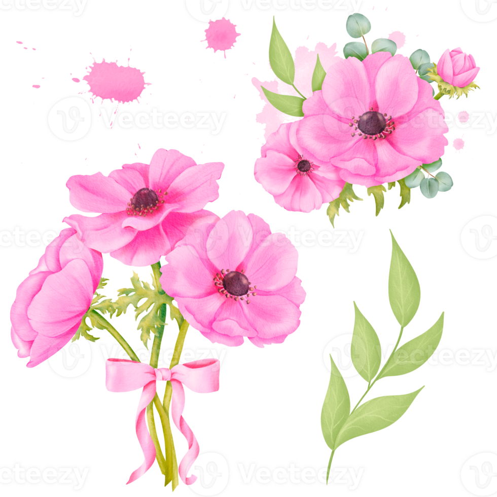 Watercolor set. a bouquet of pink anemones, a sprig of greenery, boutonniere, and floral-colored watercolor splashes. for stationery, wedding invitations, greeting cards, packaging design home decor png