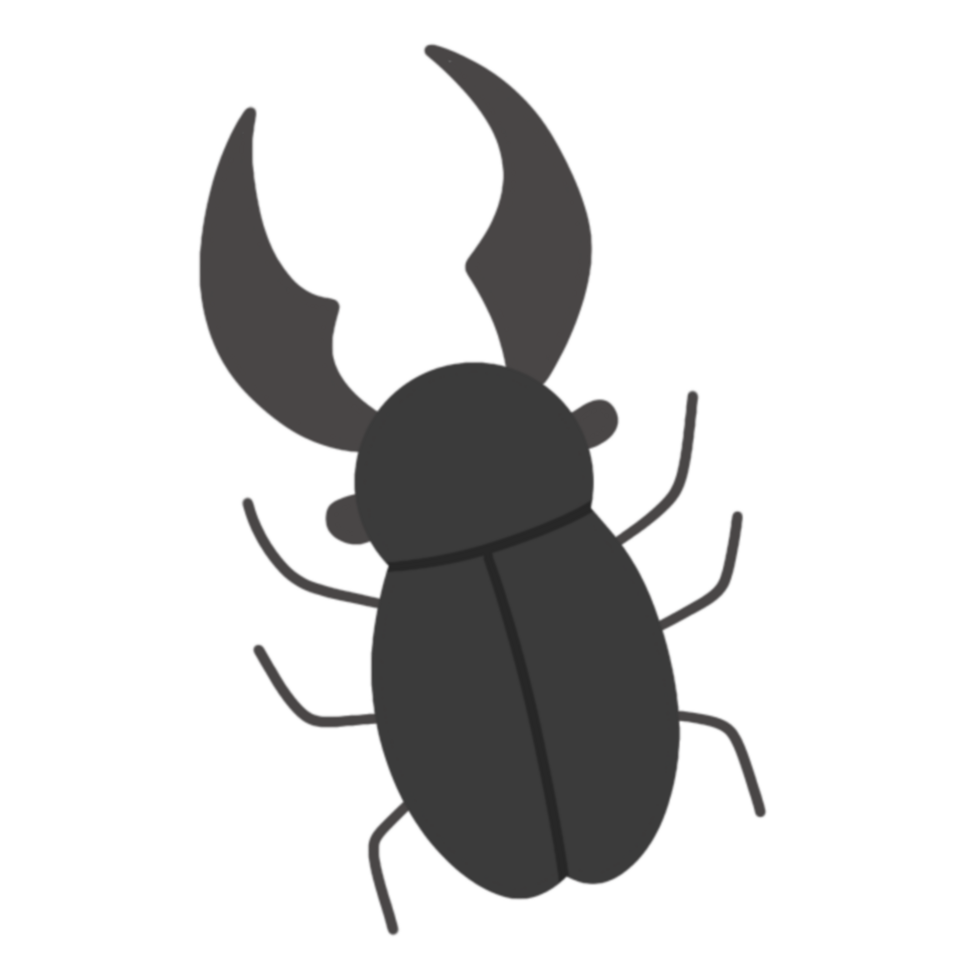 Beetle bugs illustration png