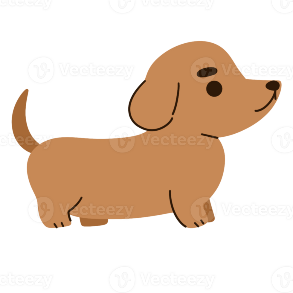 Cute pet dog illustration png