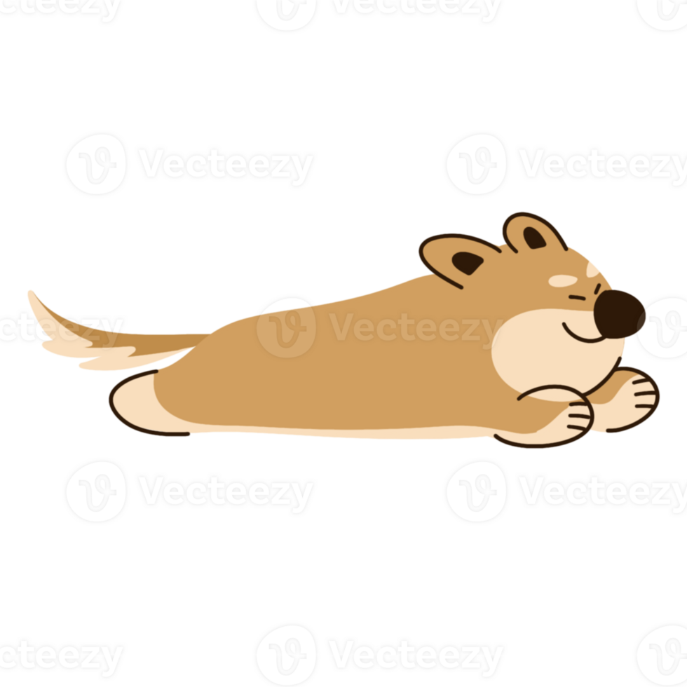 Brown dog illustration png