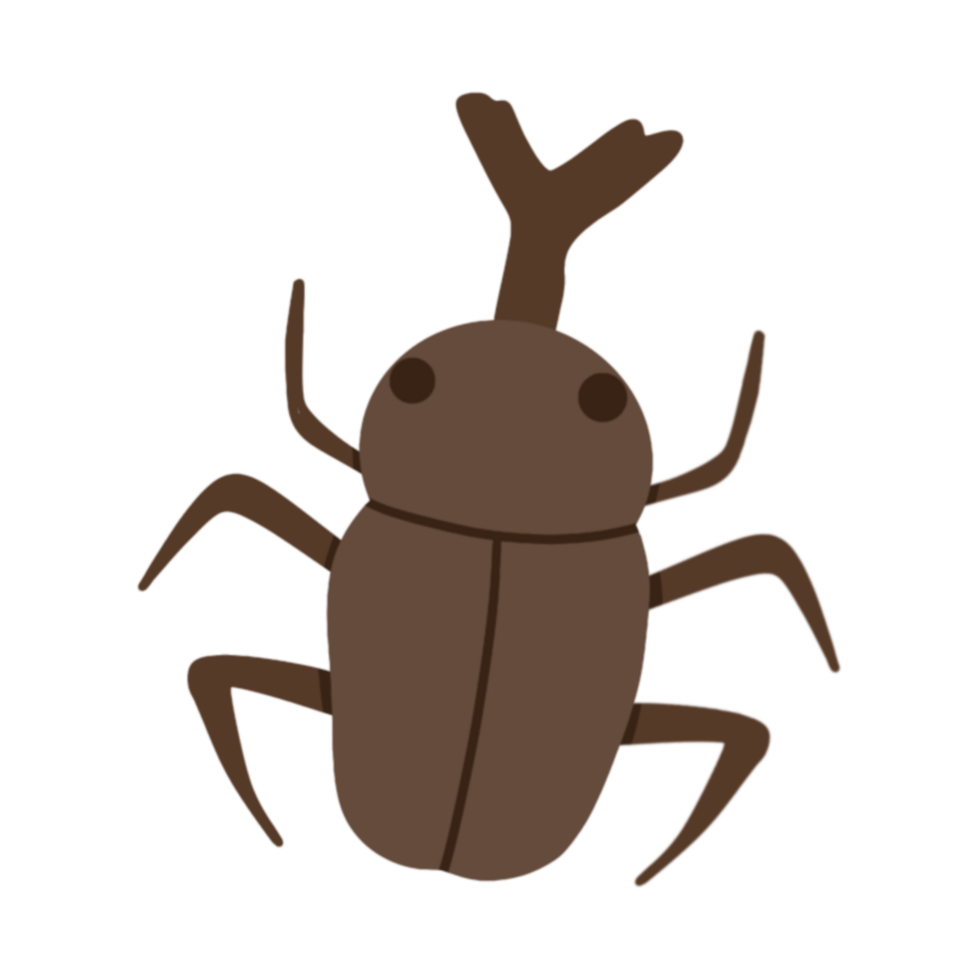 Beetle bugs insects png