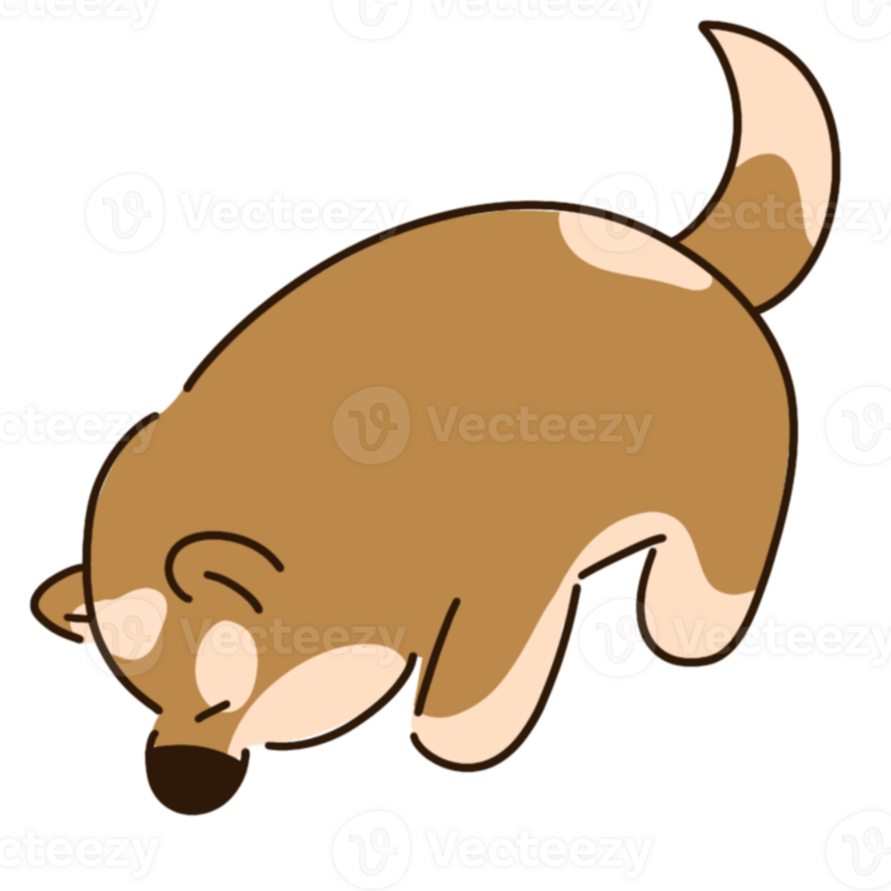 Cute brown puppy png