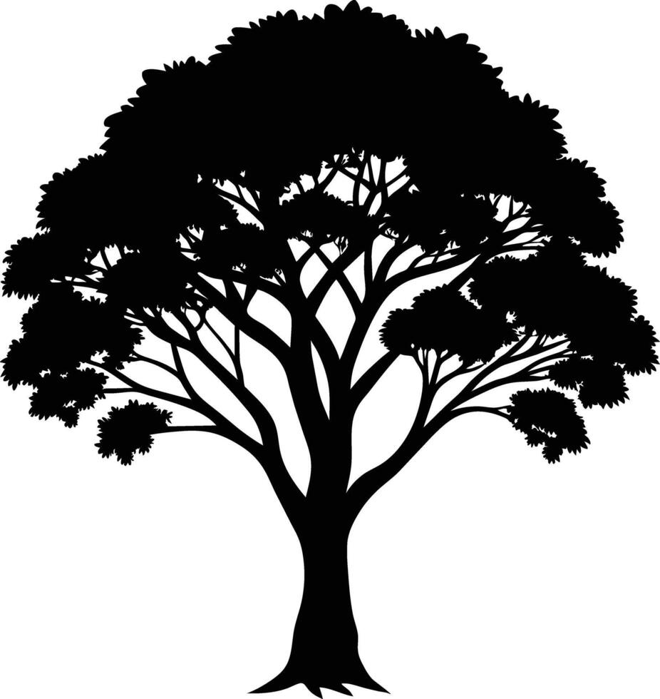 Black gum tree silhouette on white background vector