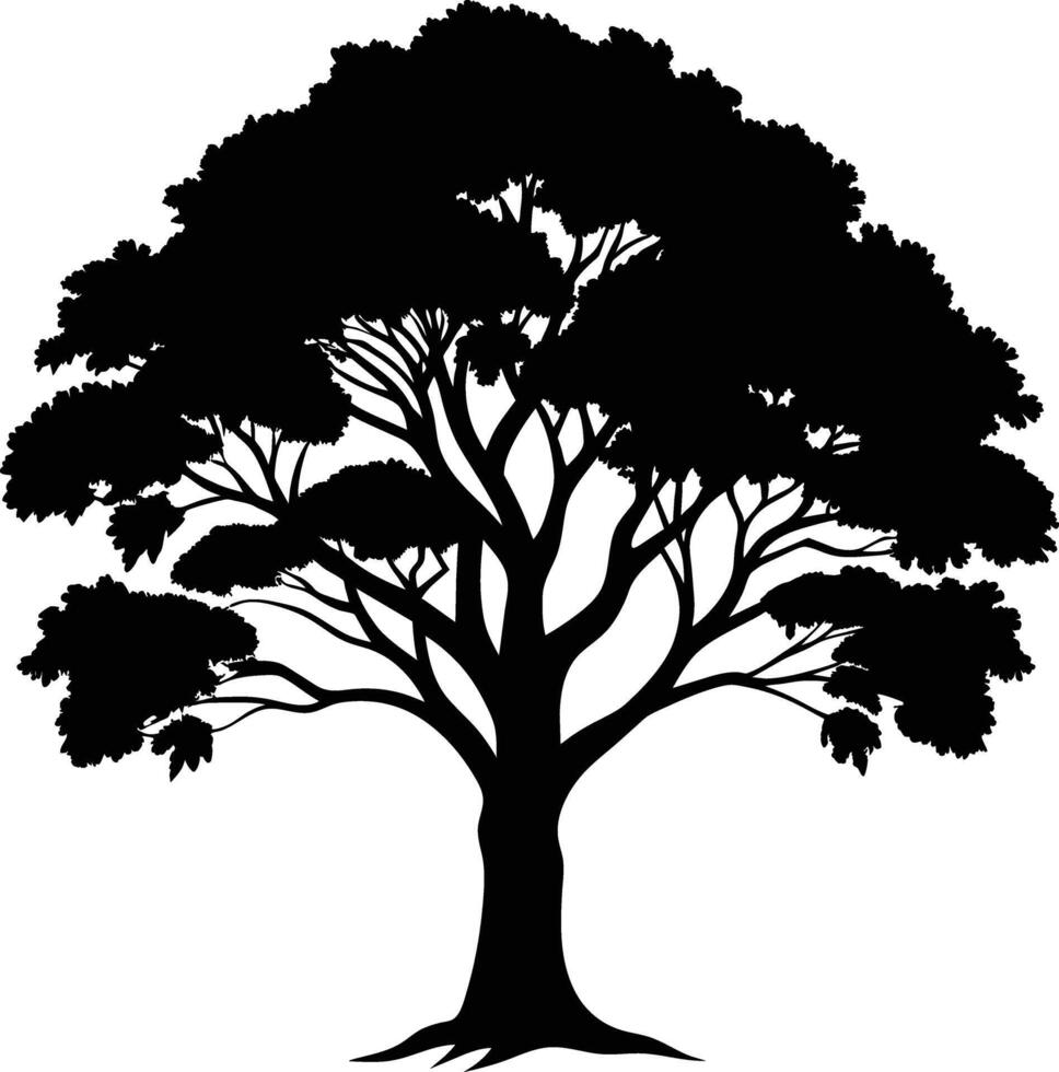 Black gum tree silhouette on white background vector