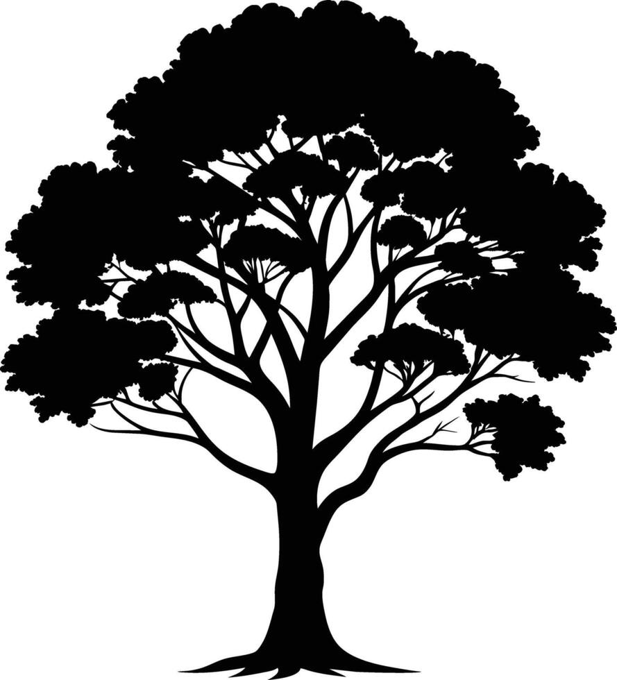 Black gum tree silhouette on white background vector