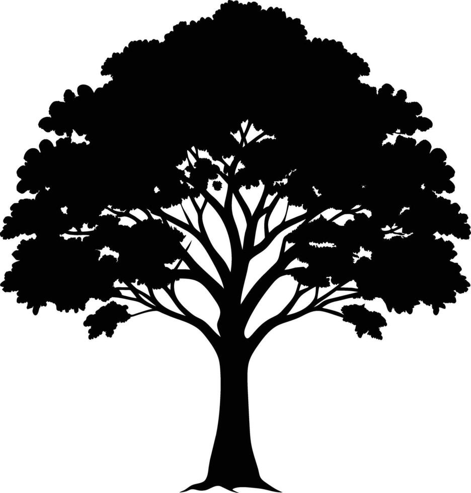 Black gum tree silhouette on white background vector