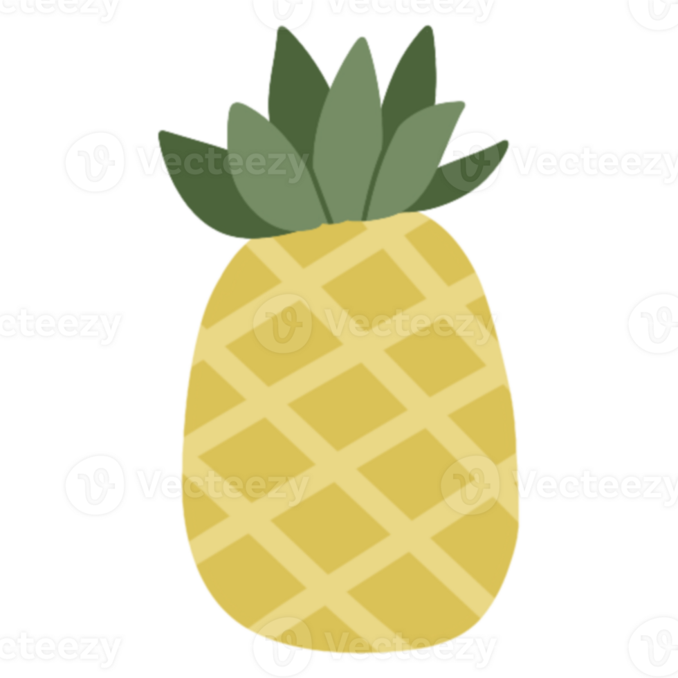 ananas zomer illustratie png