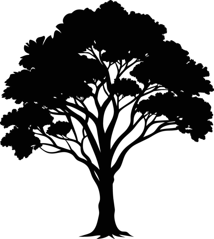 Black gum tree silhouette on white background vector