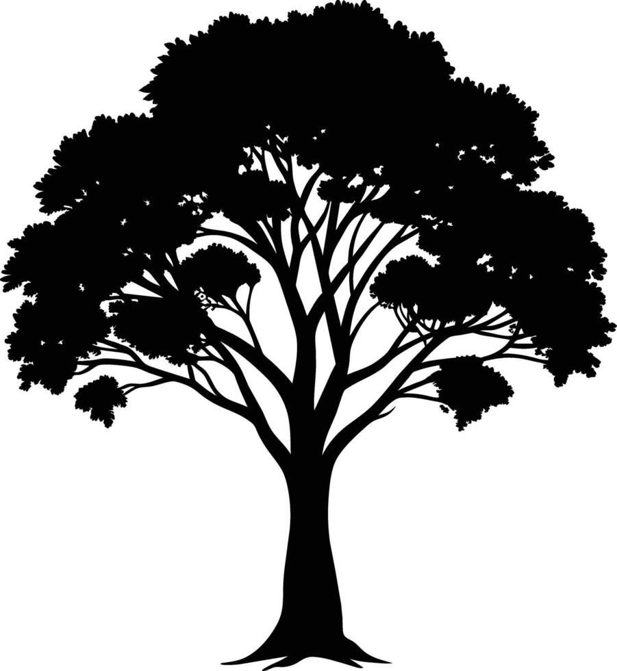 Black gum tree silhouette on white background vector