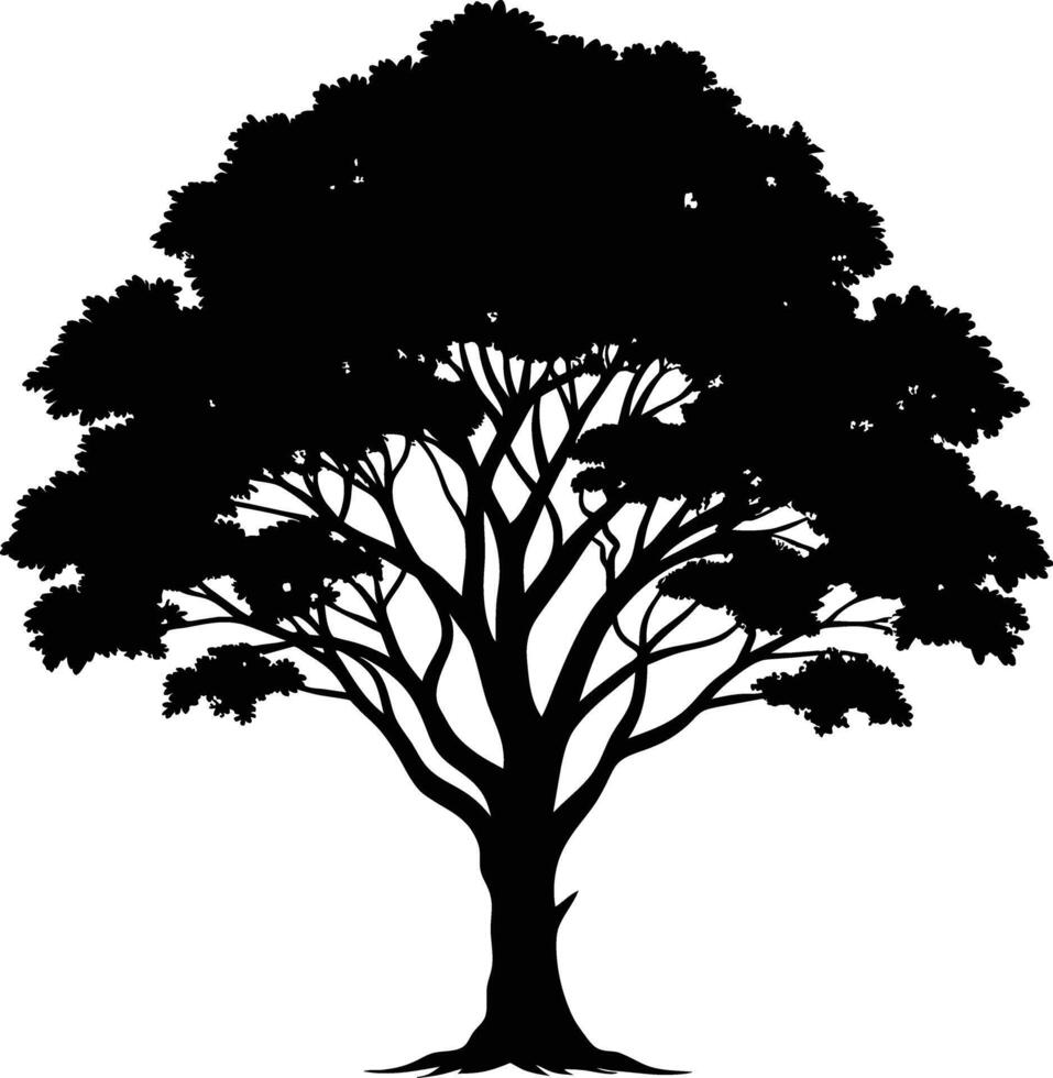 Black gum tree silhouette on white background vector