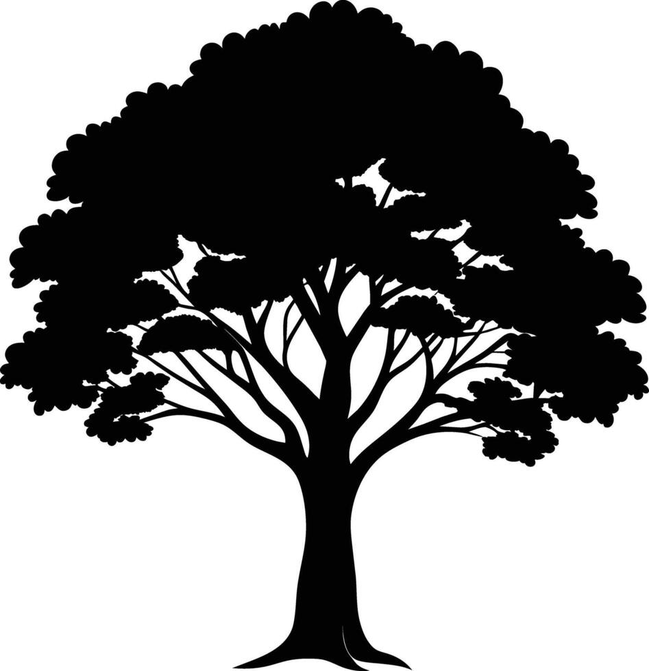 Black gum tree silhouette on white background vector