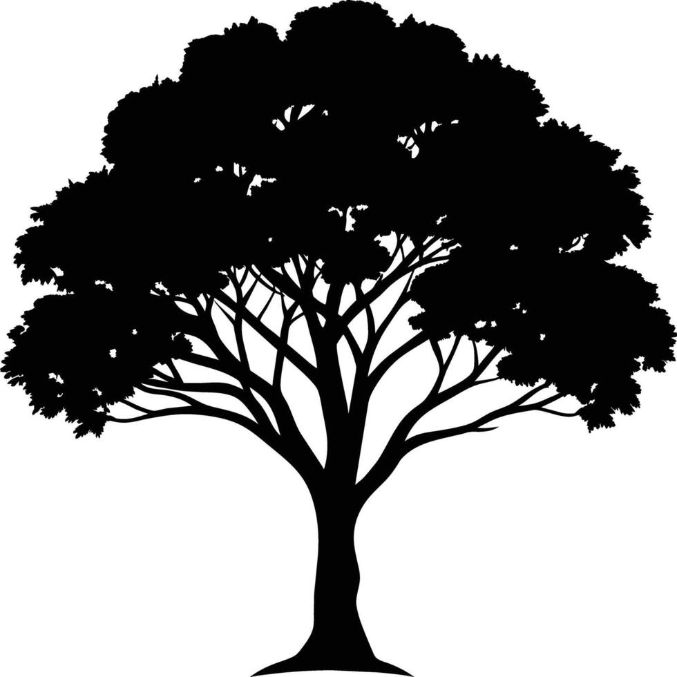 Black gum tree silhouette on white background vector