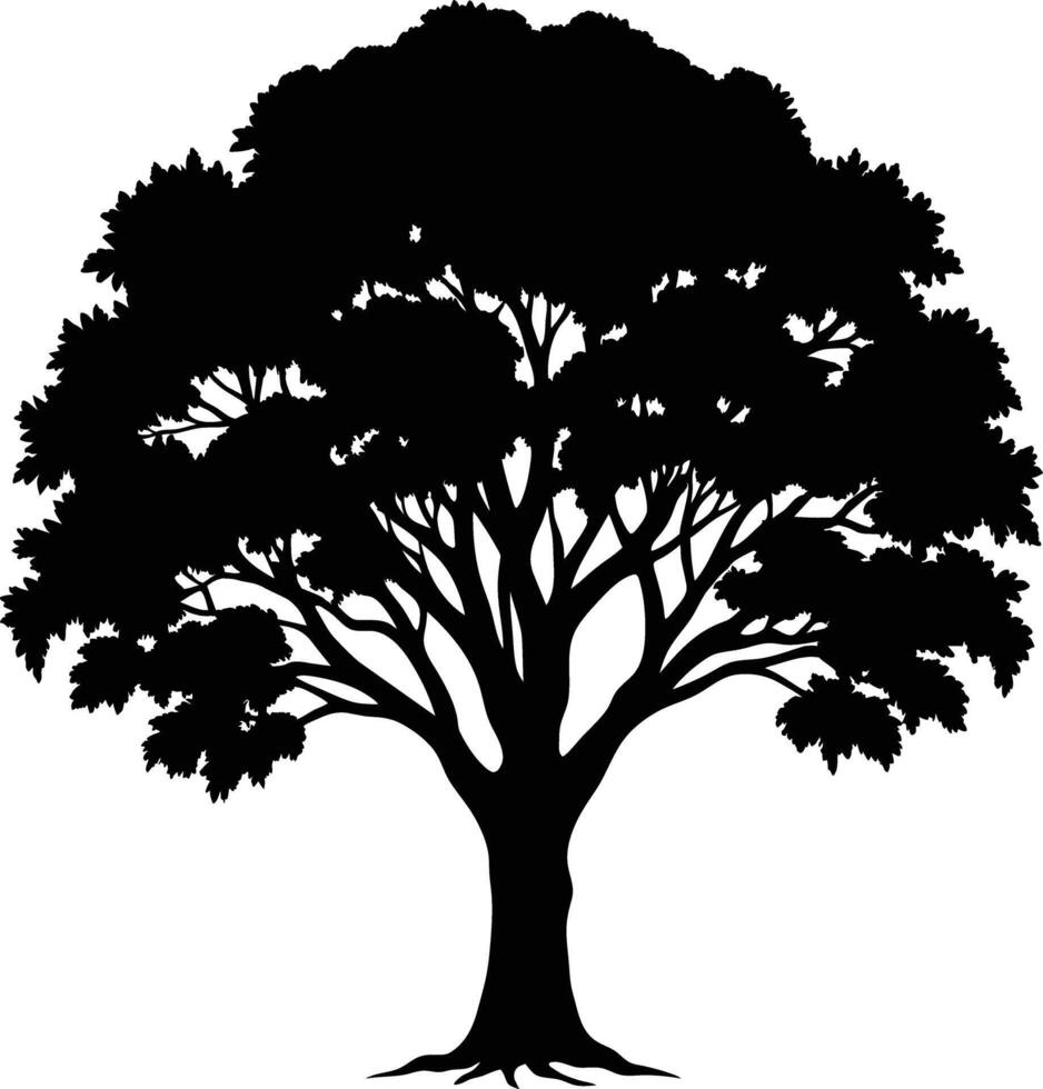 Black gum tree silhouette on white background vector