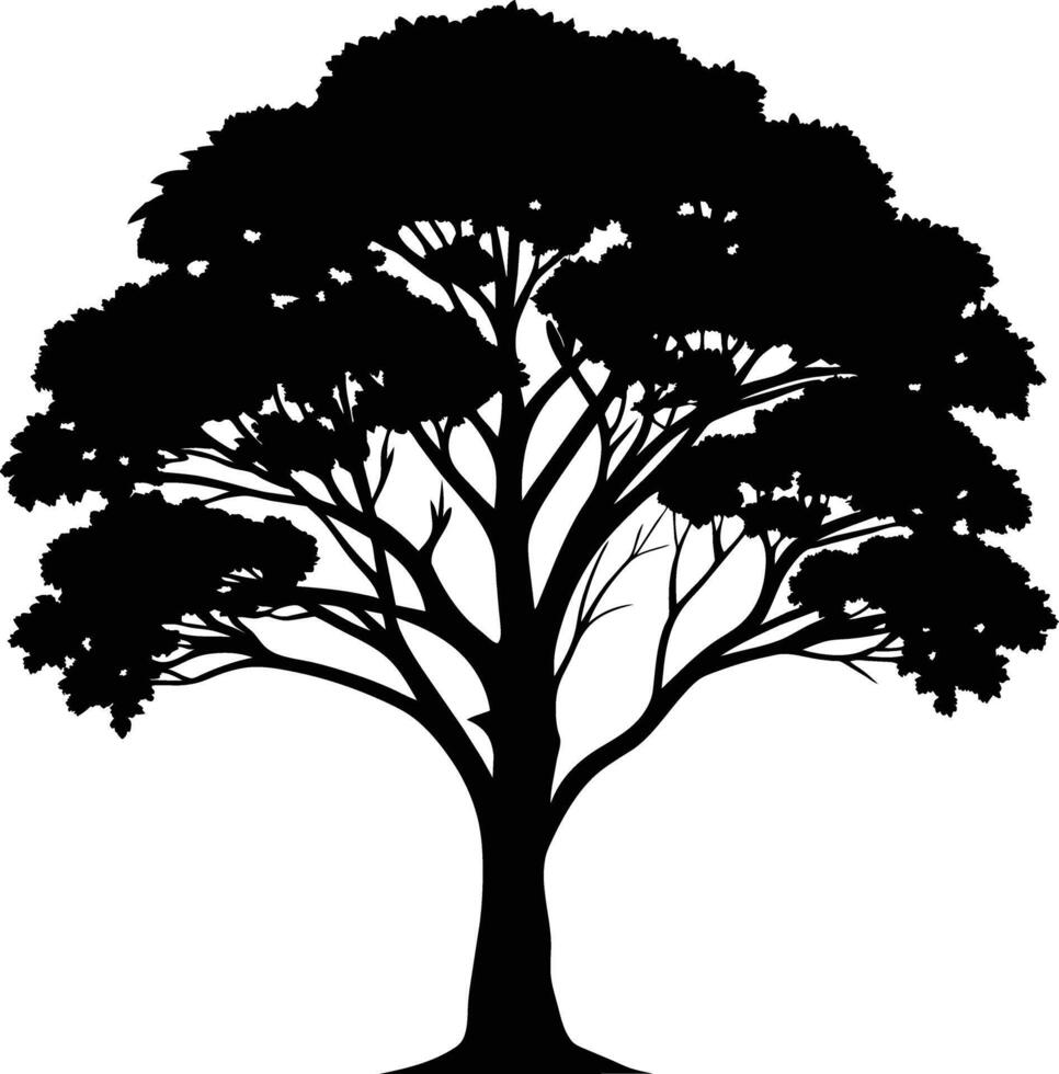 Black gum tree silhouette on white background vector