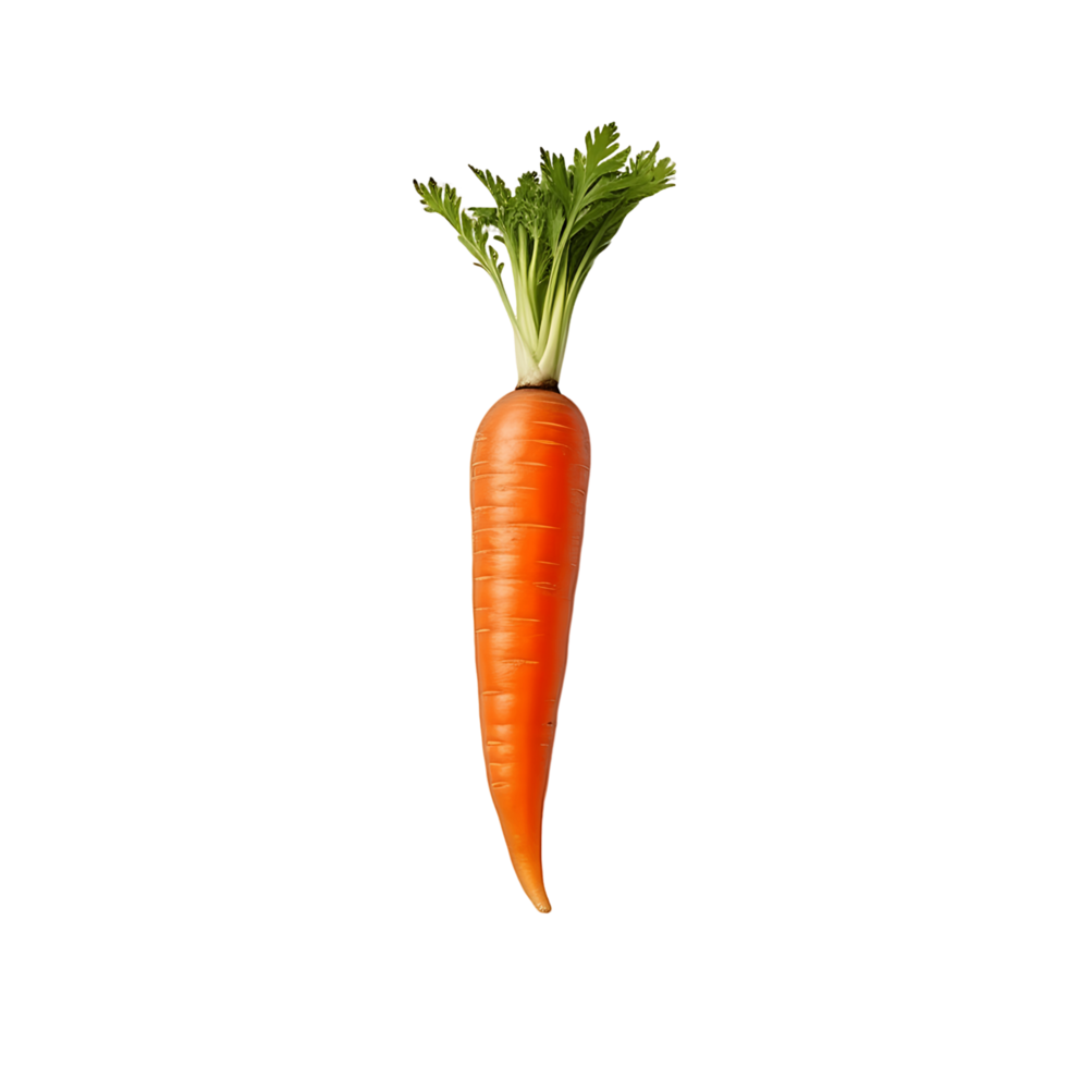 Isolated Carrot Bunch Set png