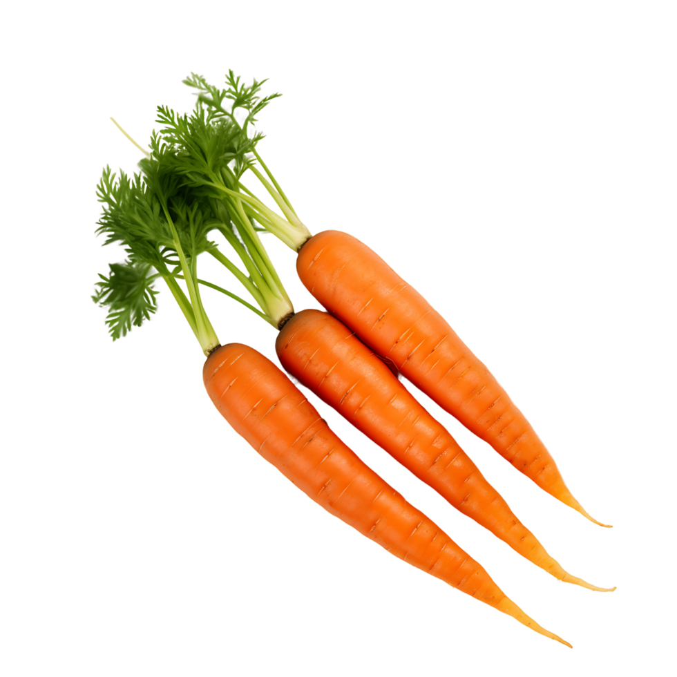 Whole Carrots with Transparent Background png