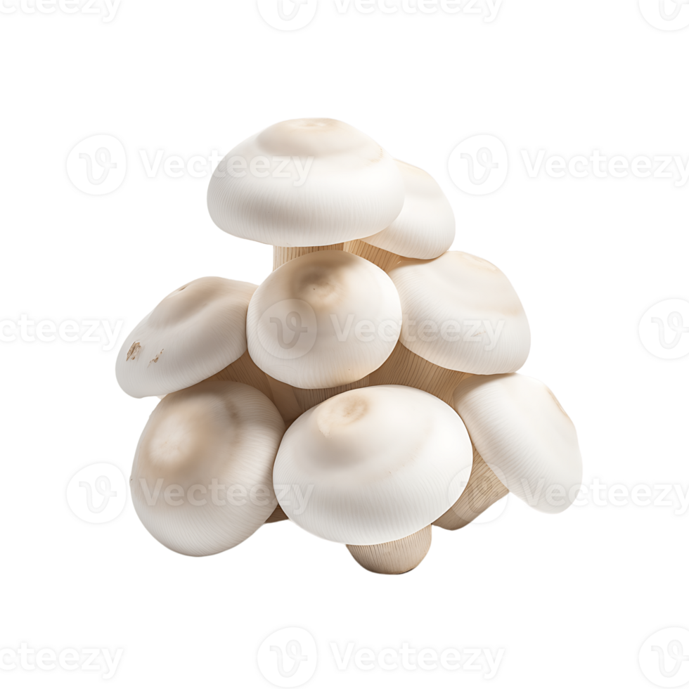 Clear Edible Mushrooms Clip Bundle png