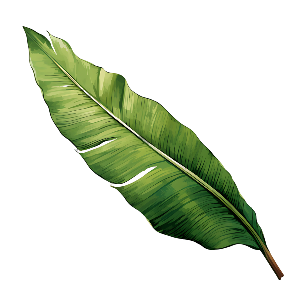 Clear Banana Leaf Clip Bundle png
