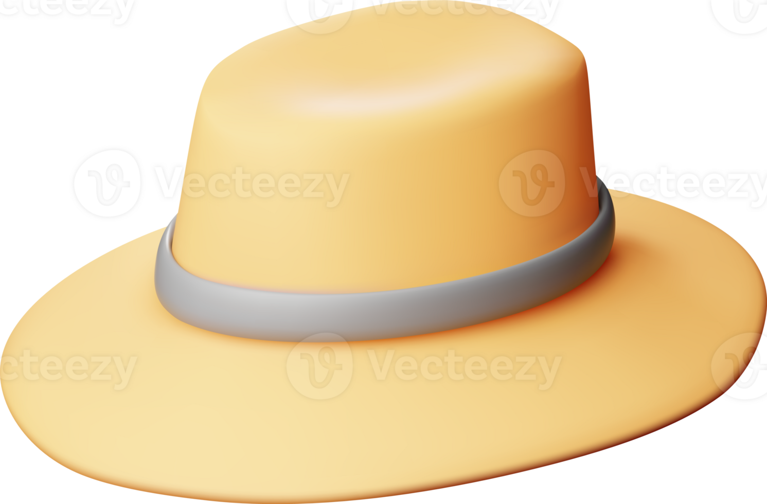 3d unisexo Paja sombrero png