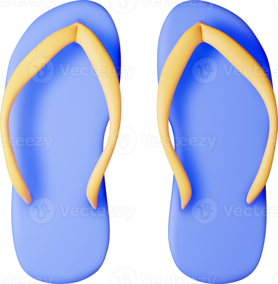 3d Beach Flip Flops png