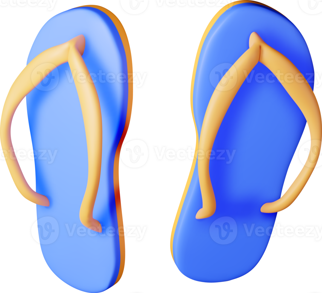 3d Beach Flip Flops png