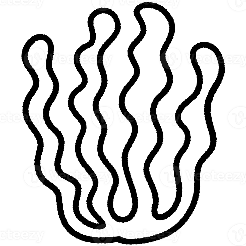Coral line,Shell line,seaweed Black and white outline white color in shape and black line png