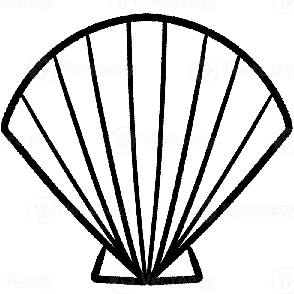 Coral line,Shell line,seaweed Black and white outline white color in shape and black line png