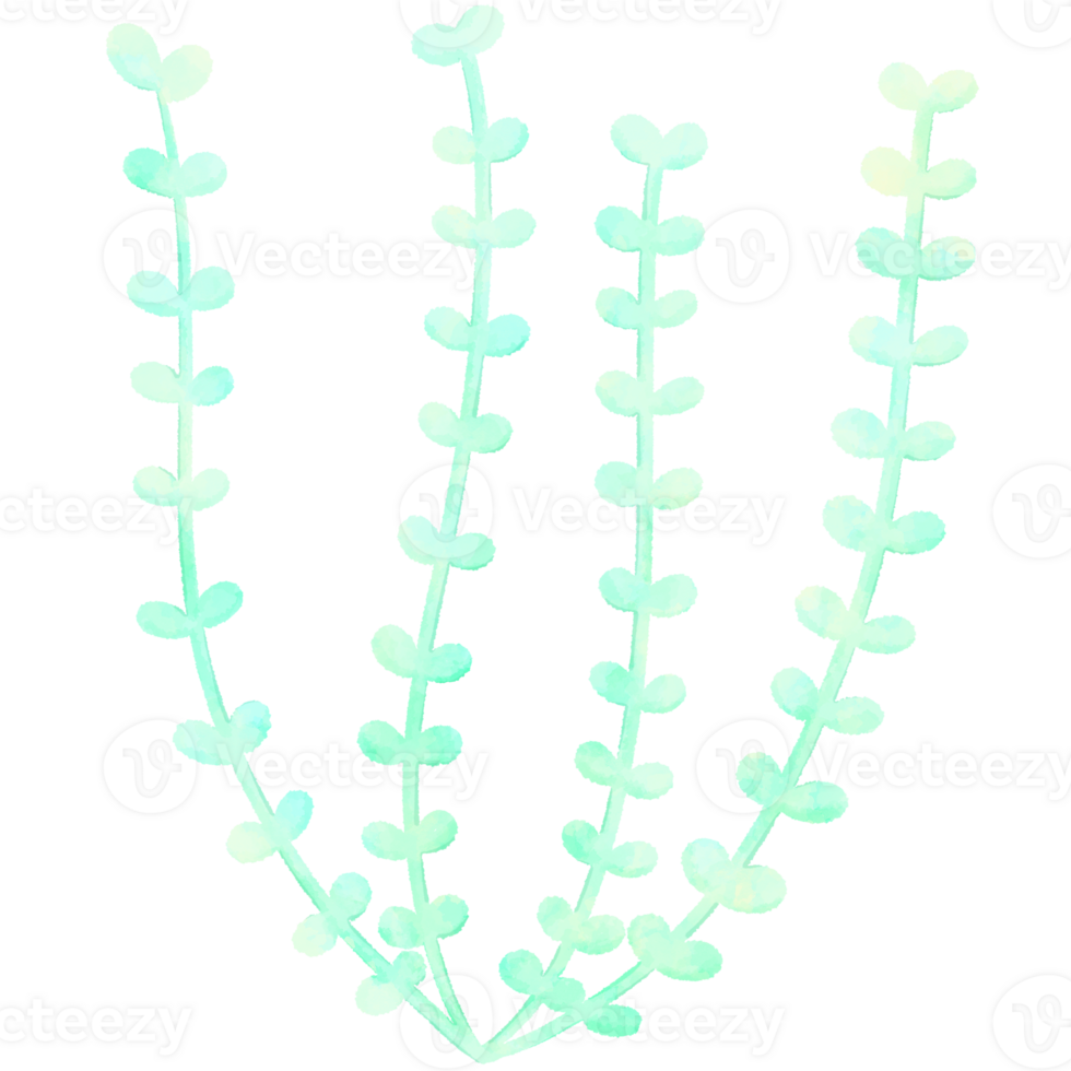 Pastel green seaweed sea summer collection.Watercolor illustration and cartoon style pastel ocean illustration isolated png