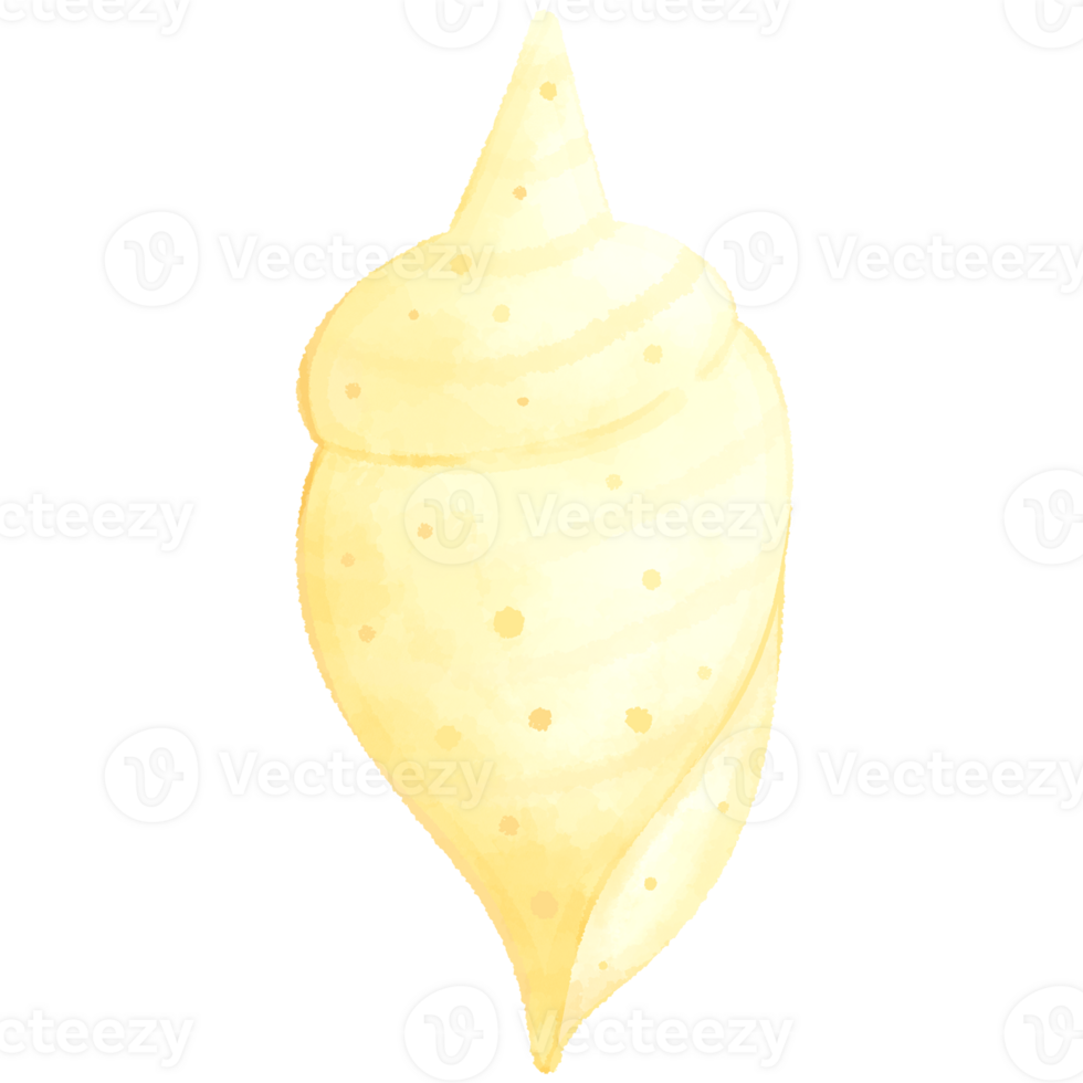 Yellow shell summer sea collection.Watercolor illustration and cartoon style pastel ocean illustration isolated png