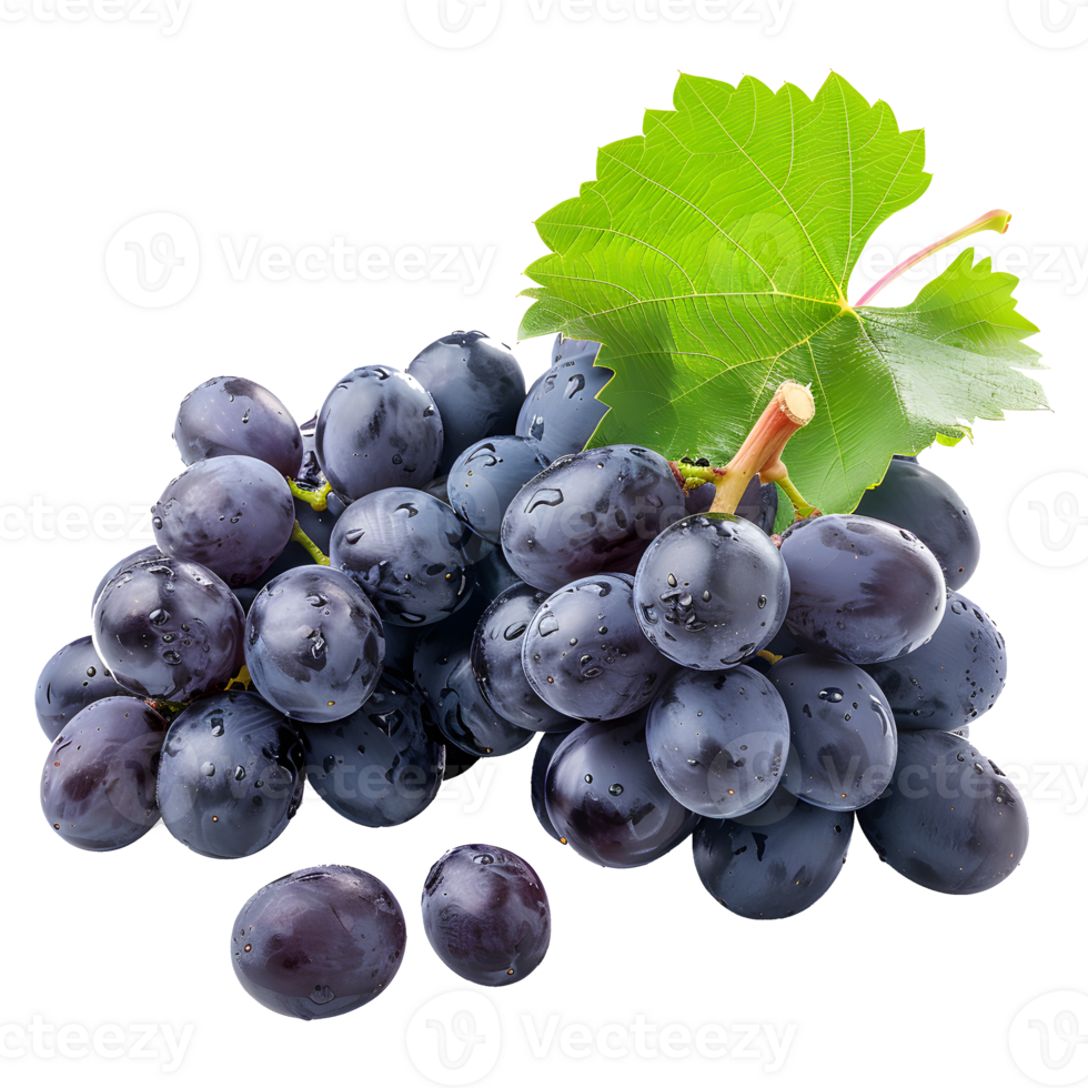 Grape Fruits, Fresh and Juicy, Isolated on Transparent Background. png