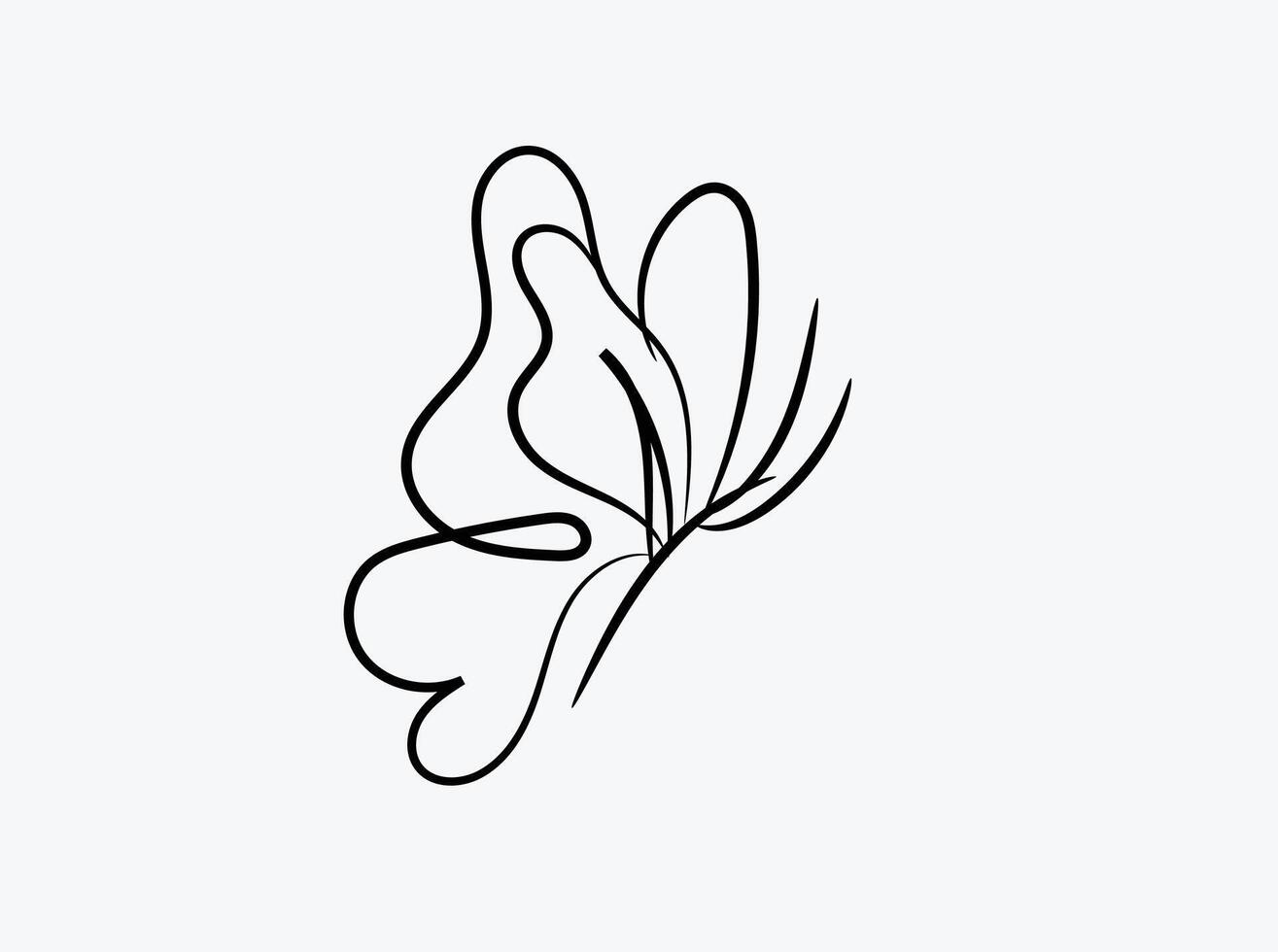 Butterfly outline with drawn details collection vector