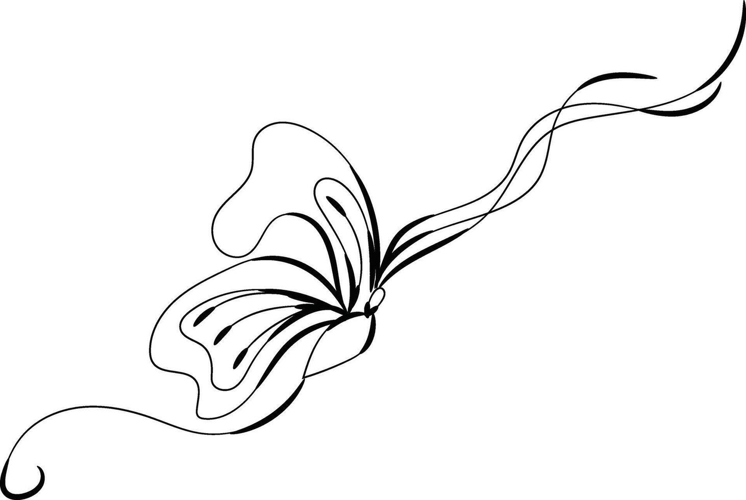 Beautiful butterfly outline illustration vector