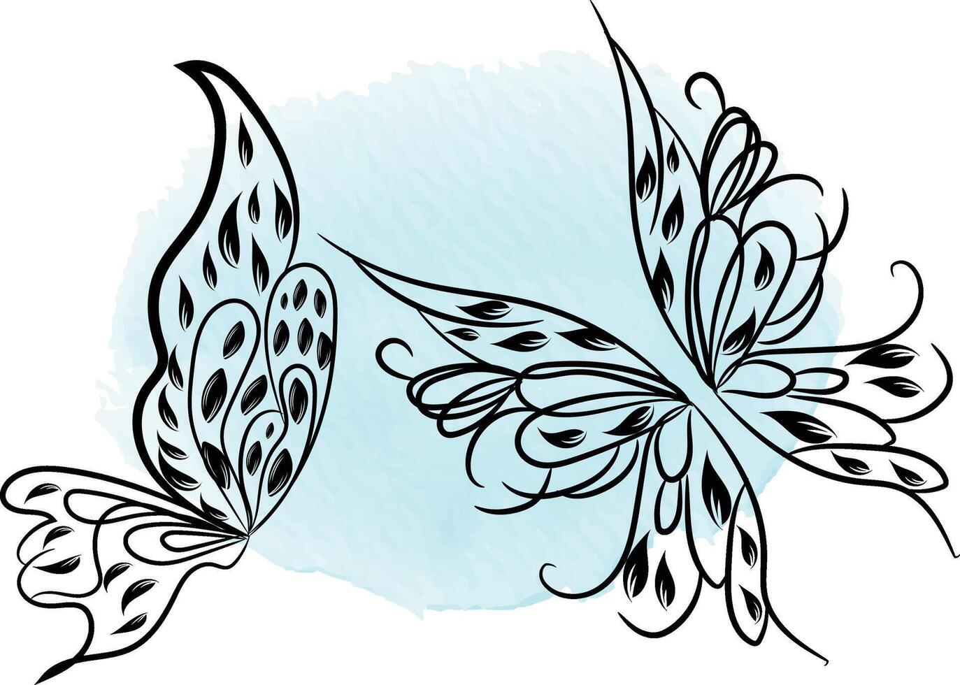 Butterfly outline with drawn details collection vector