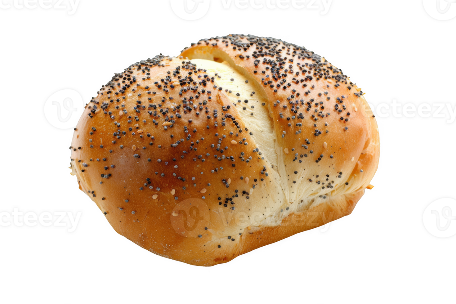 Close Up of Bagel png