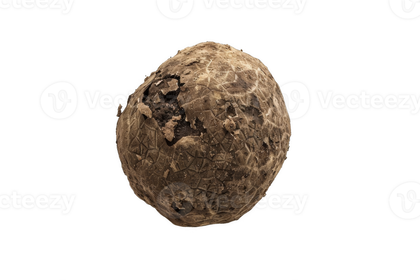 Degraded Truffle Ball png